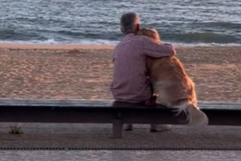 Il video di un uomo che stringe il suo Golden Retriever mentre guarda il tramonto diventa virale su TikTok, emozionando milioni di persone.