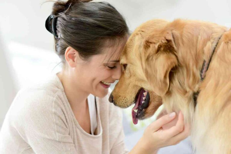 Una ricerca pubblicata su Current Biology rivela che i cani lacrimano quando si ricongiungono con la loro famiglia. A provocare le lacrime è l’ossitocina, l’ormone dell’amore.