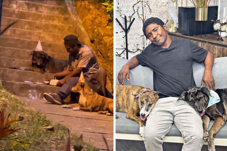 Un video virale ha trasformato la vita di Choco e dei suoi cani Shaggy e Nena. Ora vivono sotto un tetto e sognano di aiutare altri animali in difficoltà.