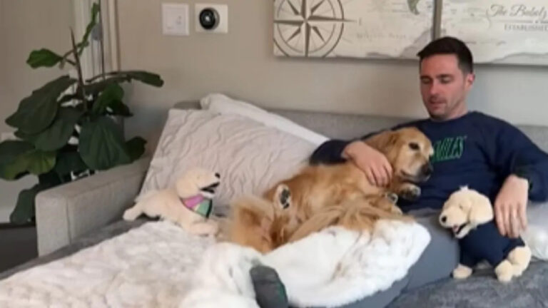 Affetta da gastroenterite emorragica, Ellie ha ritrovato la forza grazie all'affetto instancabile del suo papà umano e della sua sorella Golden Emma.