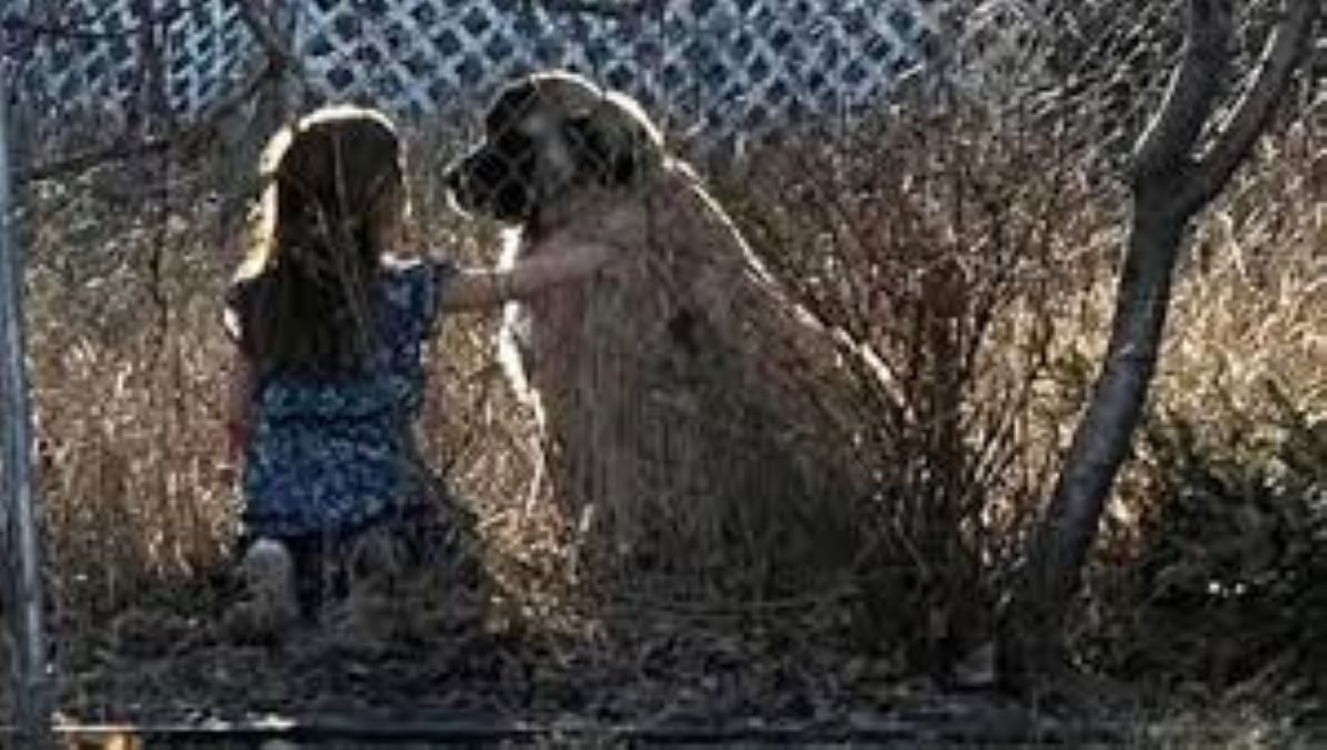Il commovente addio tra una bambina e il cane del vicino: una storia che tocca il cuore