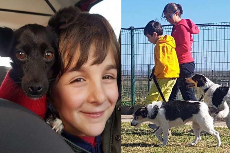 In Sardegna, un bambino trascorre l’estate facendo volontariato nei rifugi per cani. La madre: “Condividerlo con lui è la mia più grande gioia”.