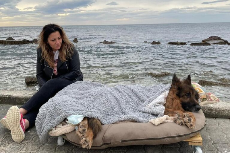 Gianna Serena Manfredi, volontaria di Qua la Zampa, ha regalato all’anziano cane abbandonato un'ultima giornata di libertà e dignità sulla spiaggia.