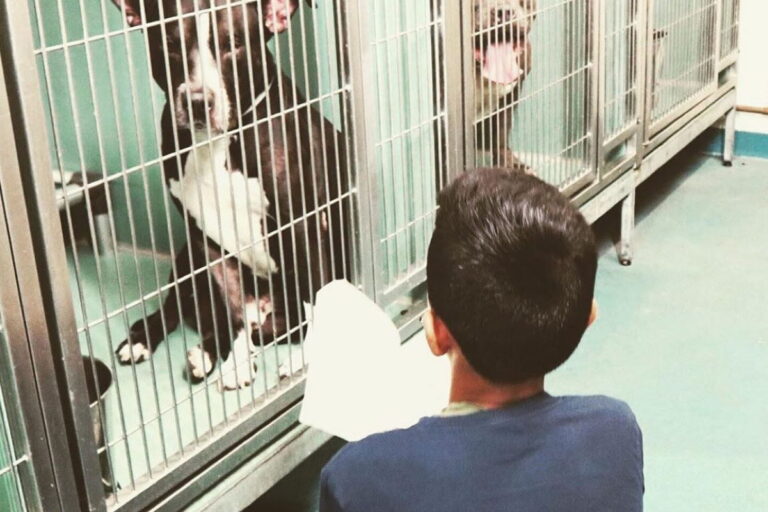 Il giovane Evan Bisnauth, premiato come “bambino dell’anno” dalla ASPCA, ha scoperto il potere della lettura per aiutare i cani dei rifugi a rilassarsi e sentirsi amati.