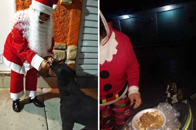 A Ecatepec, una delle zone più povere del Messico, una famiglia porta la cena di Natale ai cani randagi. Da cinque anni, Babbo Natale arriva anche per loro.