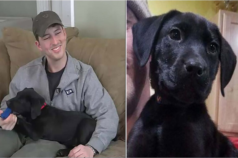 Nel Maine, un ragazzo sordo adotta un cucciolo con la stessa disabilità: comunicano perfettamente grazie all’American Sign Language. Una storia di empatia e amore.
