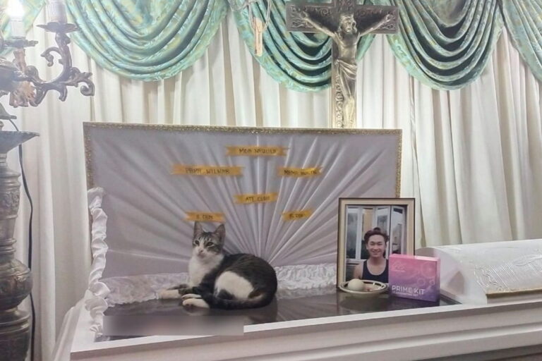 Durante il funerale del 19enne JM Binos, morto per pancreatite, il suo gatto resta accoccolato sulla bara senza volersi separare.