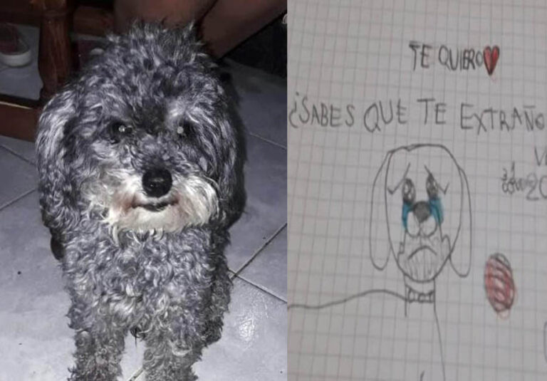 A Río Gallegos, un bimbo autistico di 11 anni offre la sua bicicletta pur di ritrovare Tito, il barboncino scomparso da un mese.