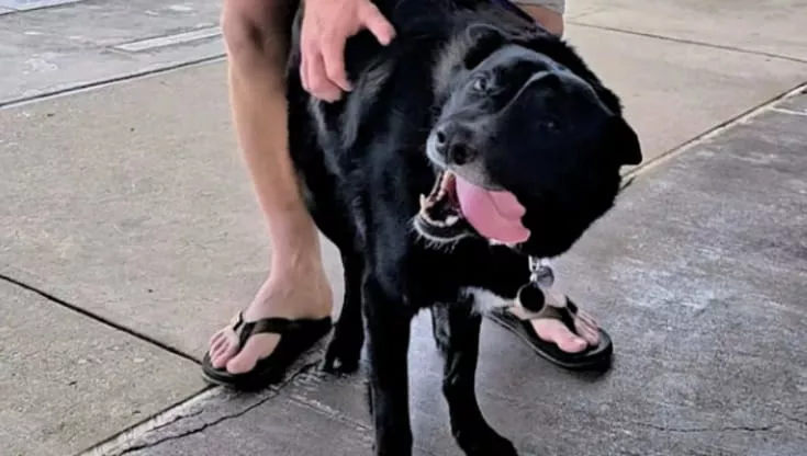 Rimasto senza casa dopo il lutto, Floyd ha trovato una nuova famiglia grazie al postino che lo conosceva da sempre.