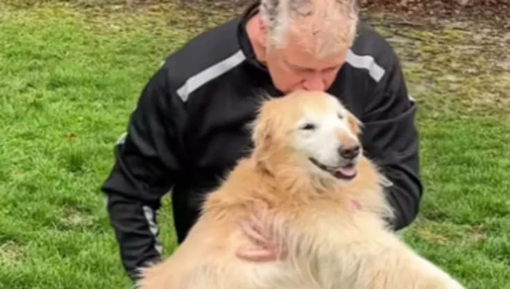 La Golden retriever di 14 anni ha vissuto il suo ultimo giorno circondata dalla famiglia, nel luogo che più amava: il giardino, ribattezzato da tutti “il regno di Nala”.