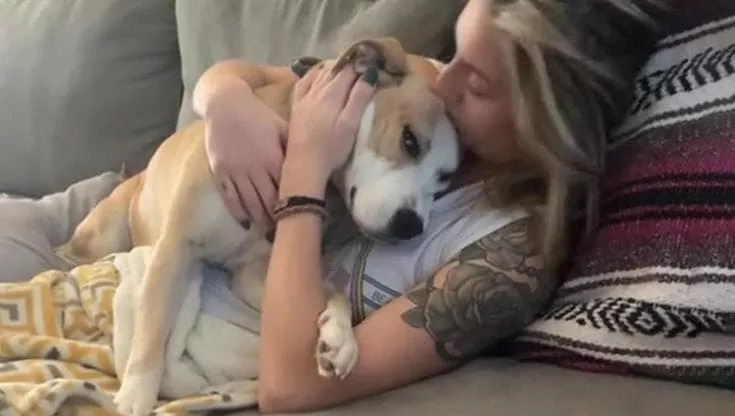 La storia della Pit Bull salvata da una giovane donna a Houston e diventata simbolo di rinascita e amore. Dai marciapiedi al divano di casa, con nove cuccioli al seguito.