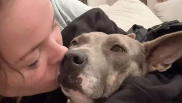 Partorisce il suo primo figlio, ma il primo pensiero è per il cane rimasto a casa: “È lei che ci ha tenuti insieme nei momenti più bui”