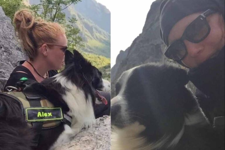 Dopo la tragica caduta della sua padrona in montagna, il cane Alex non l’ha mai lasciata sola. Grazie a lui i soccorritori l’hanno trovata.