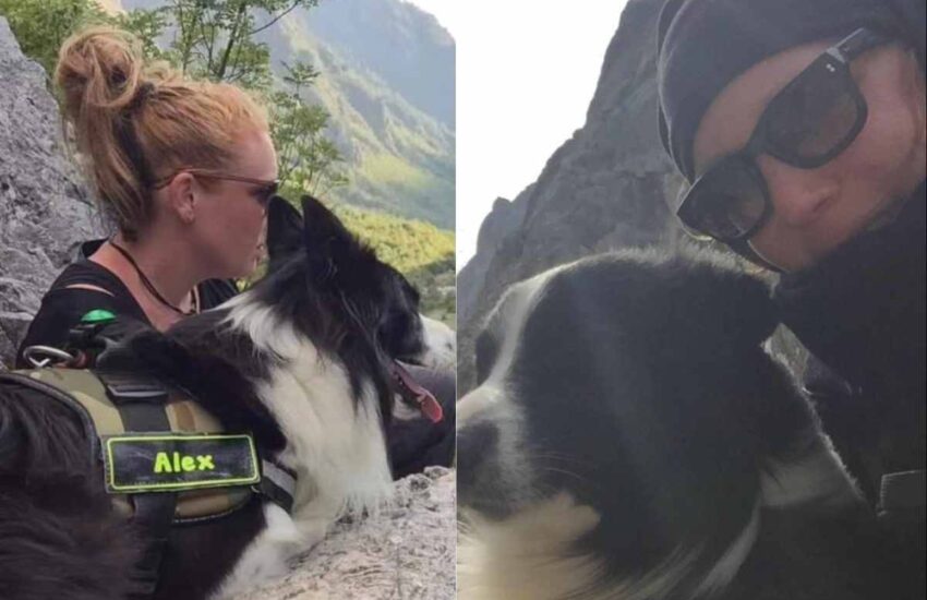 Dopo la tragica caduta della sua padrona in montagna, il cane Alex non l’ha mai lasciata sola. Grazie a lui i soccorritori l’hanno trovata.