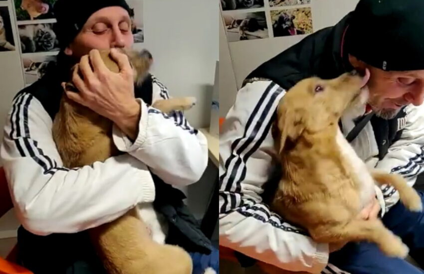 Dopo essere stato smarrito e portato oltre confine, Ciuffo è stato ritrovato grazie al microchip e ha potuto riabbracciare la sua famiglia.