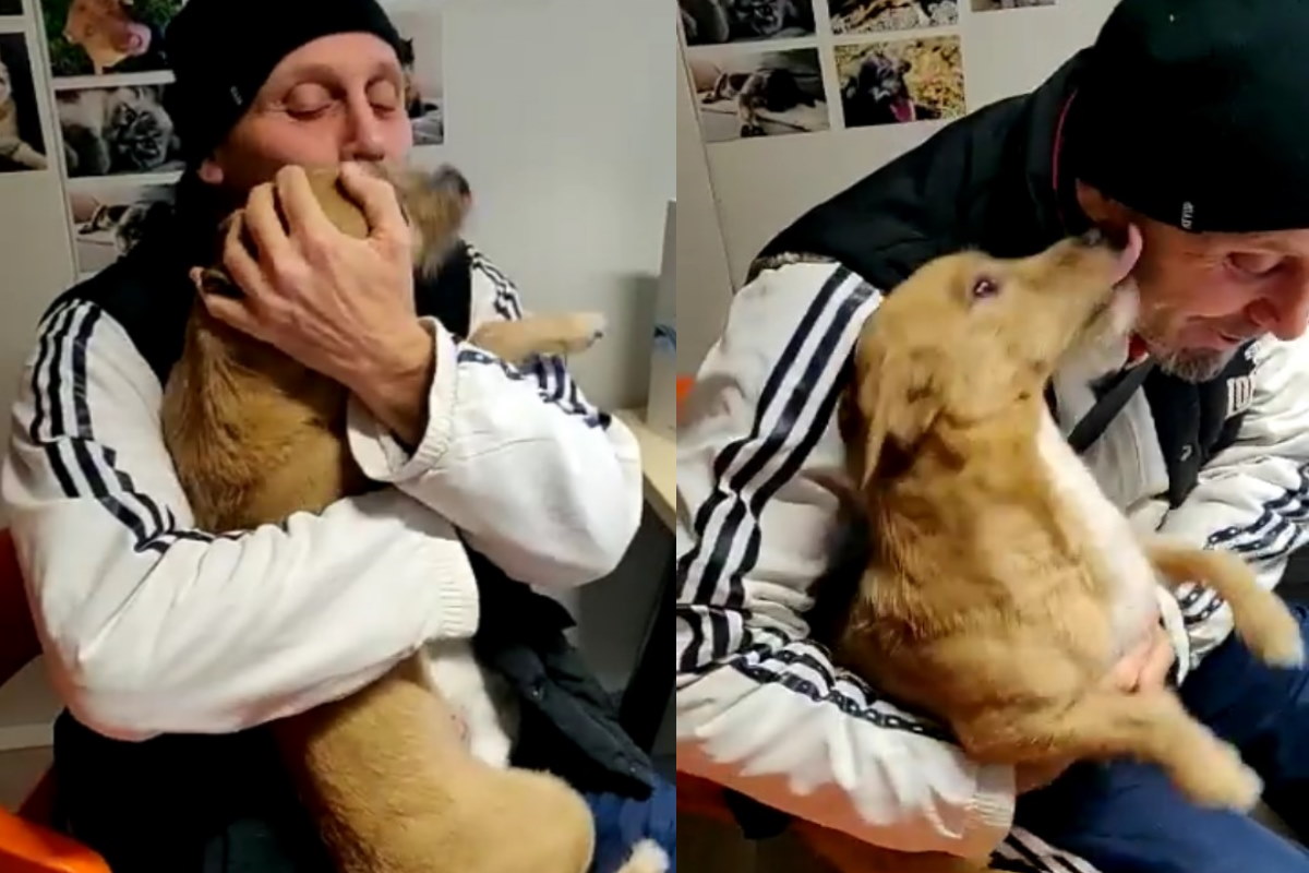 Dopo essere stato smarrito e portato oltre confine, Ciuffo è stato ritrovato grazie al microchip e ha potuto riabbracciare la sua famiglia.