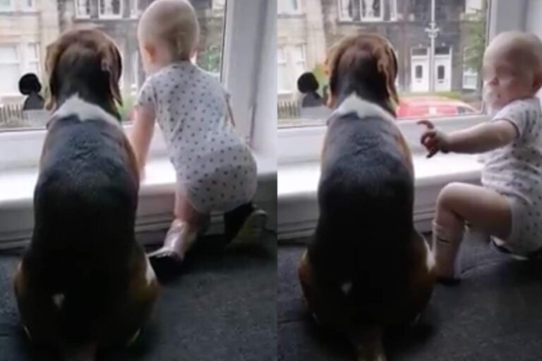 Tra lo stupore dei genitori, la prima parola del piccolo non è stata per la mamma né per il papà: ha chiamato il suo cane.