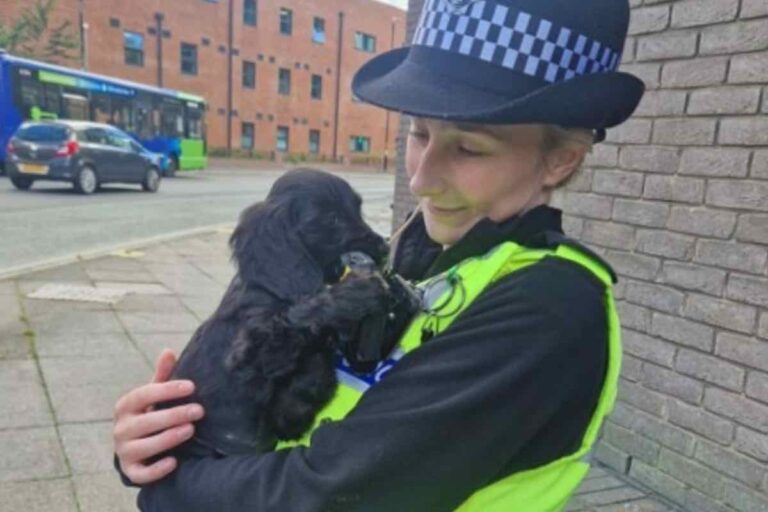 La decisione presa da un’agente della polizia di Walsall durante un intervento ha commosso il web. Oggi Bella ha una nuova casa e una nuova famiglia.