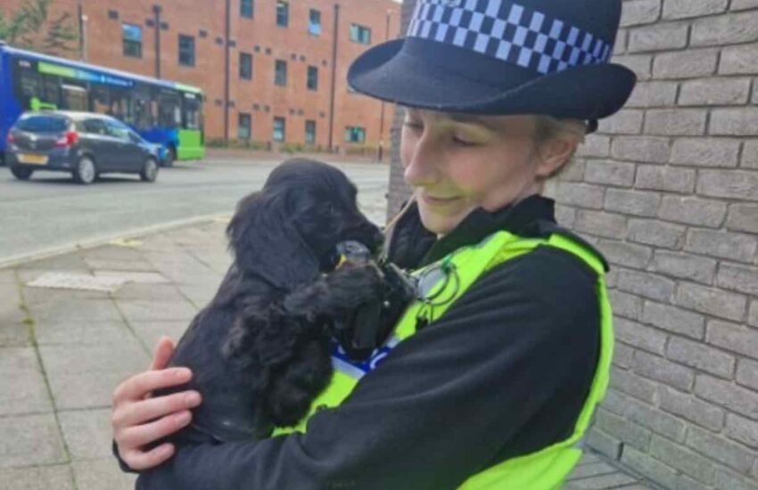 La decisione presa da un’agente della polizia di Walsall durante un intervento ha commosso il web. Oggi Bella ha una nuova casa e una nuova famiglia.
