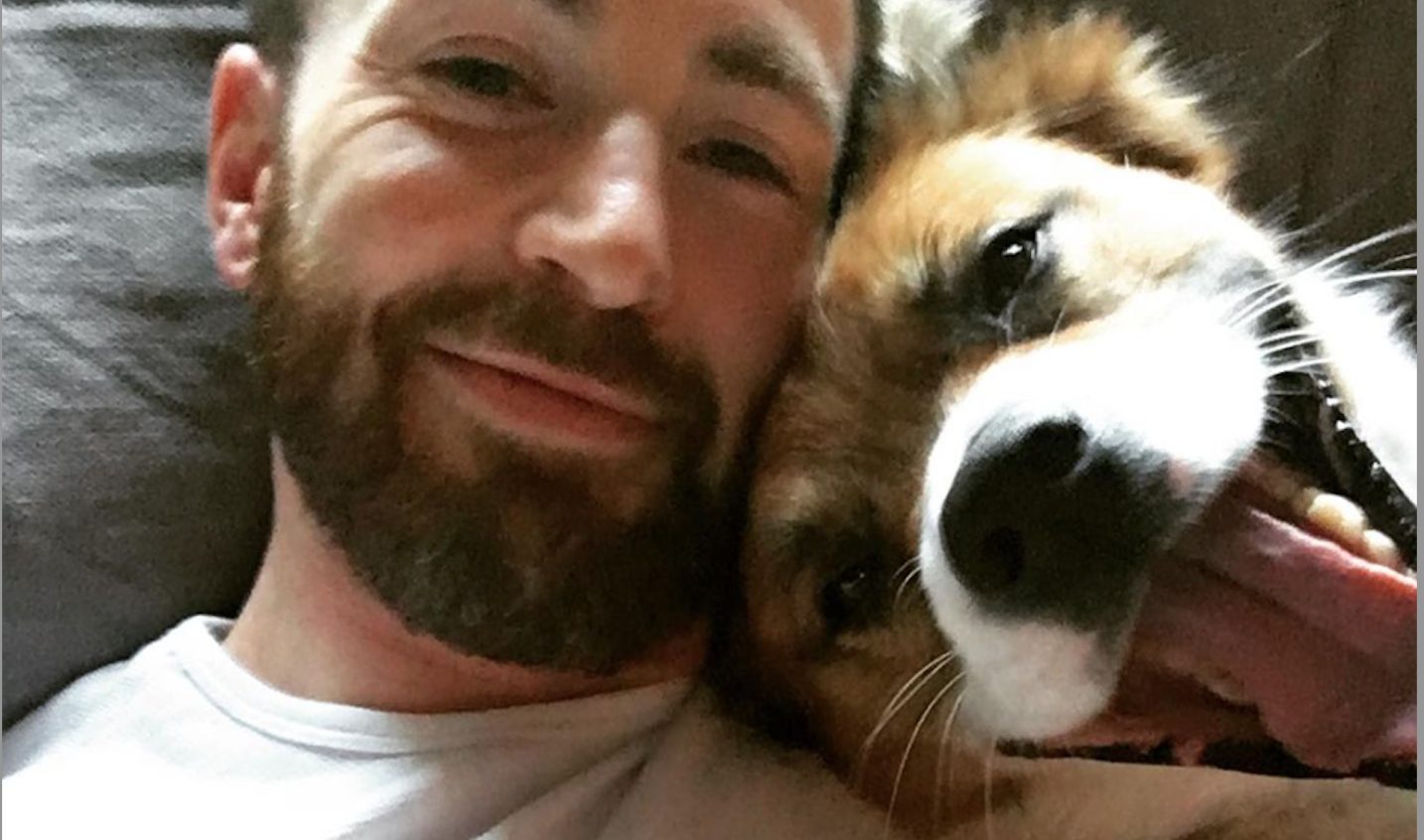 Chris e Suze, la coppia che ha abbandonato tutto per accudire animali: “Così abbiamo trasformato una passione in vita”