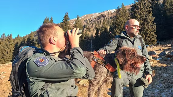 IL fiuto del cane anti-veleno Sole smaschera chi avvelenava i lupi: denunciato un allevatore
