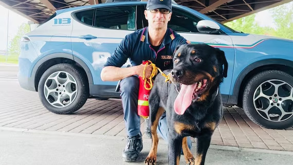 Axel, cane abbandonato sotto un cavalcavia a Padova, è stato salvato dagli agenti della Polizia nel giorno simbolo della rinascita. Ora attende adozione.