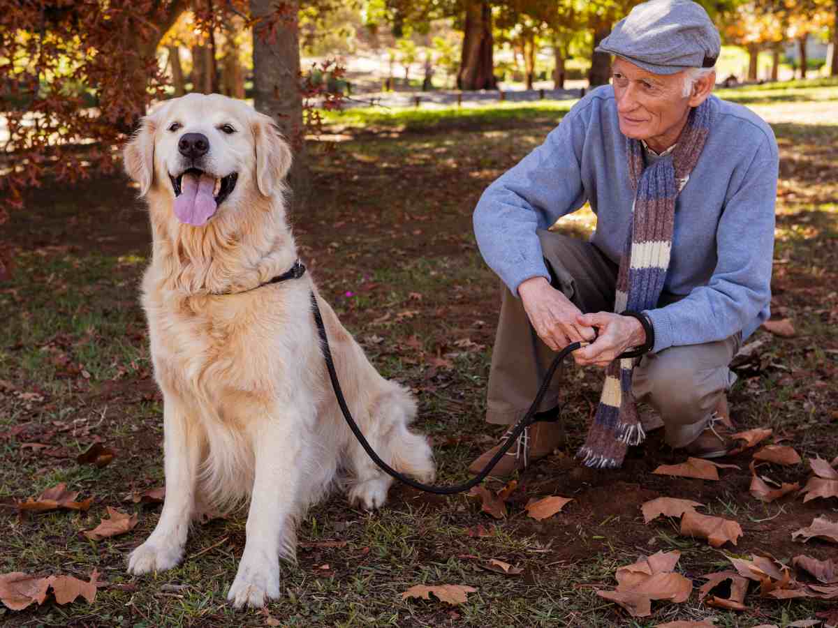 Dopo la morte del suo umano Alfio, il fedele Taco torna ogni giorno nel luogo dell’ultimo saluto. Il parroco: “Sta soffrendo, accogliamolo con amore”.