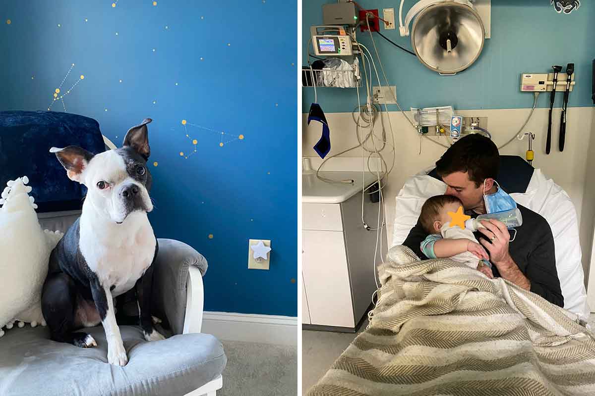 Il cane Henry sveglia i genitori e salva la vita alla bambina che non respirava più: “Non ci meritiamo i cani”
