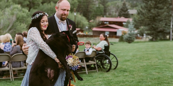 Nonostante un tumore al cervello, il labrador ha raccolto le ultime forze per esserci al matrimonio della sua padrona. Una settimana dopo, si è spento.