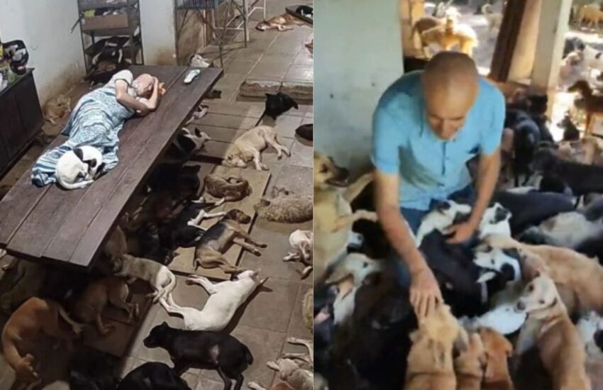 Dopo la morte del suo cane, un uomo di Marechal Deodoro ha rinunciato a tutto per creare un rifugio per oltre 800 animali abbandonati.