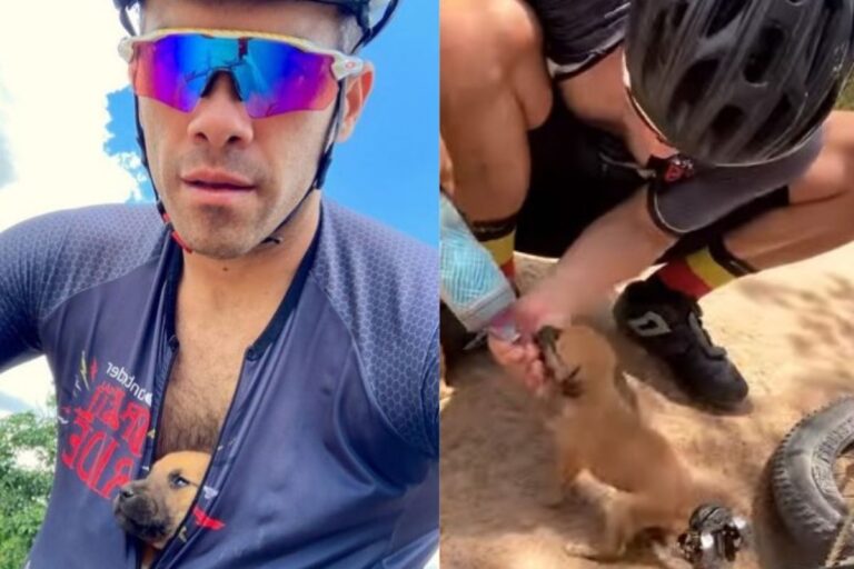 Durante un allenamento, Thyago Costa Silva, ciclista professionista brasiliano, ha trovato e salvato una cucciolata lasciata in un fosso. Ora hanno tutti una casa