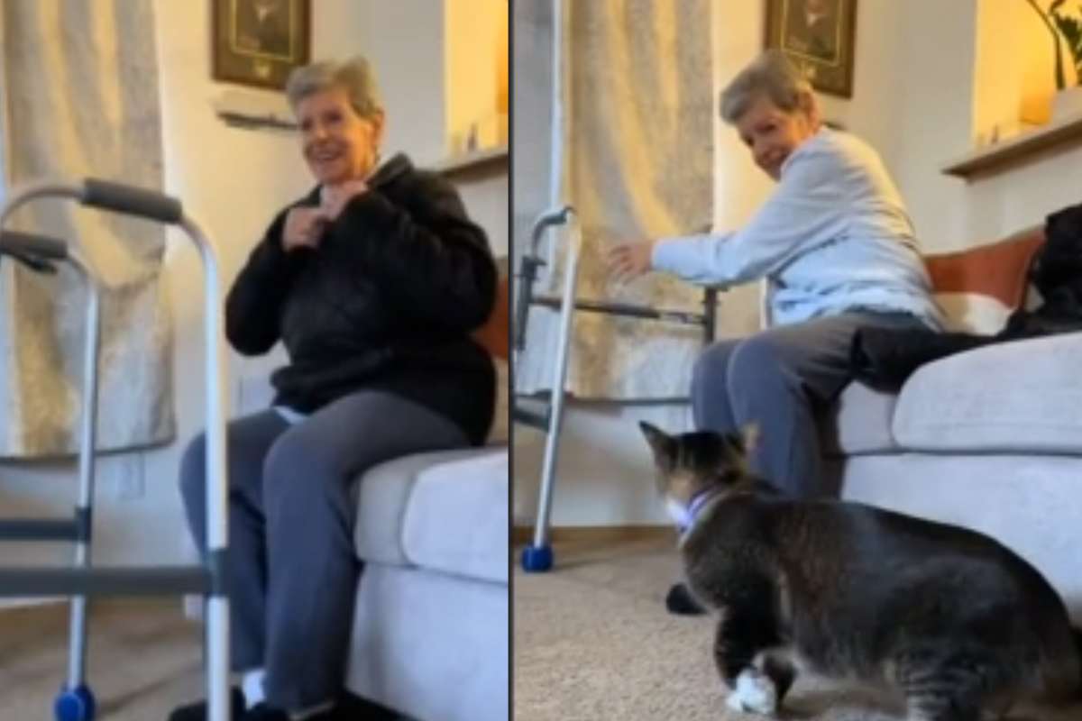 Pickles riconosce la voce della sua umana: il video del loro abbraccio dopo un mese di ricovero commuove il web