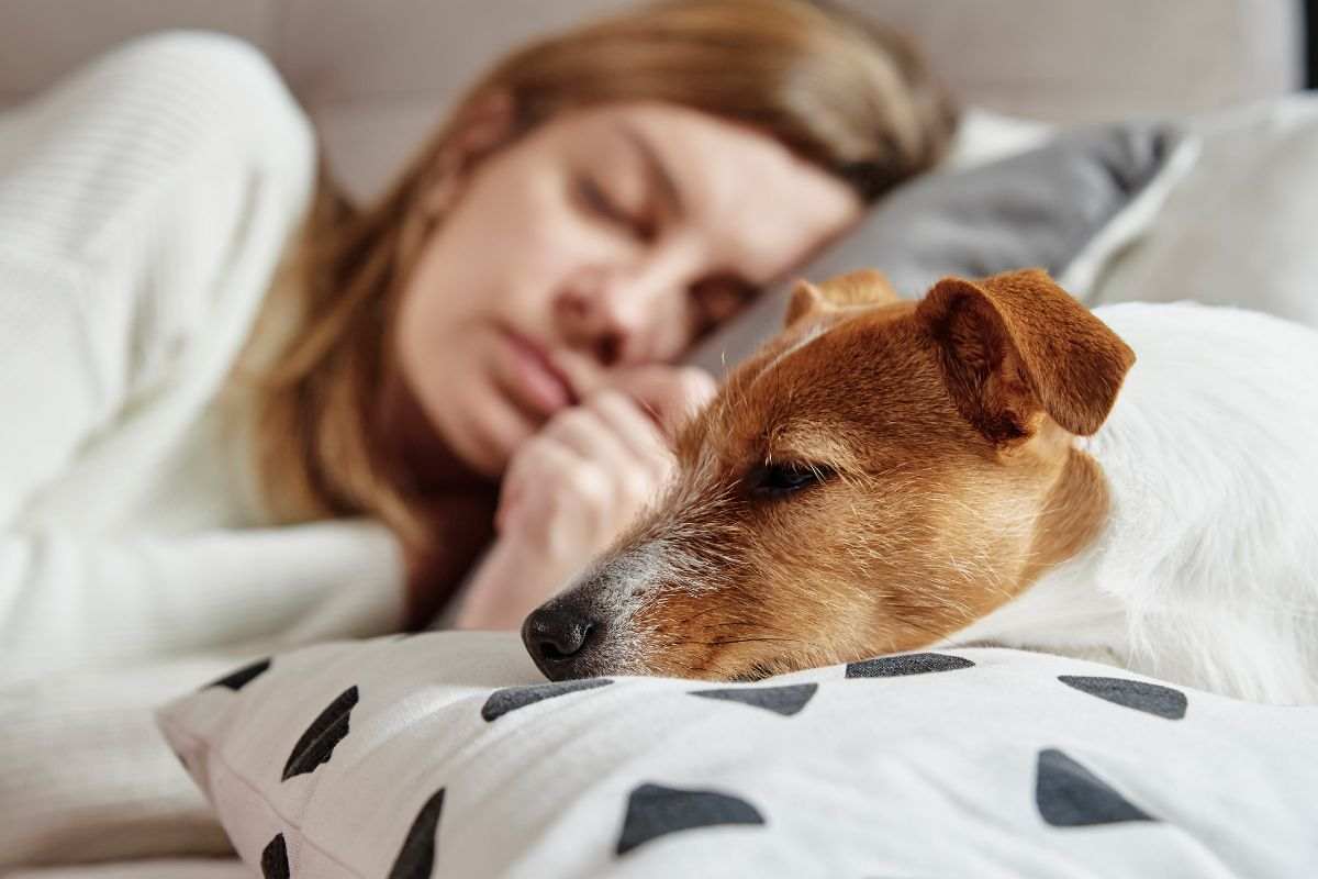 Dorme con il cane malato, finisce in ospedale con un’infezione grave: la disavventura di Amanda