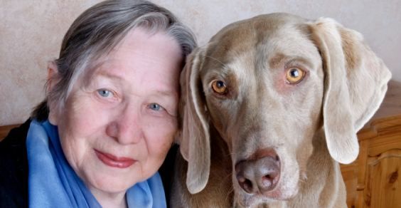 Una ricerca rivela che in Gran Bretagna gli animali domestici contano più dei suoceri nella vita familiare. E in Italia la tendenza è simile.