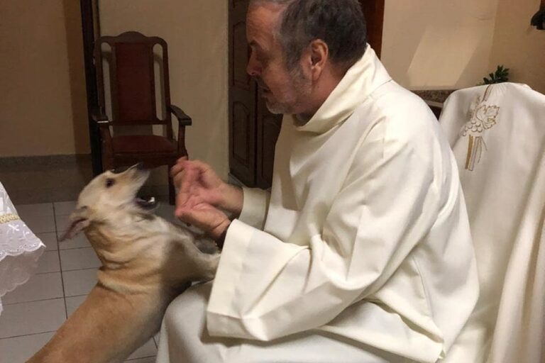 In Brasile, Padre João Paulo accoglie i randagi durante la messa. Li cura, li sfama e li fa adottare: così salva decine di vite con la fede e l’amore