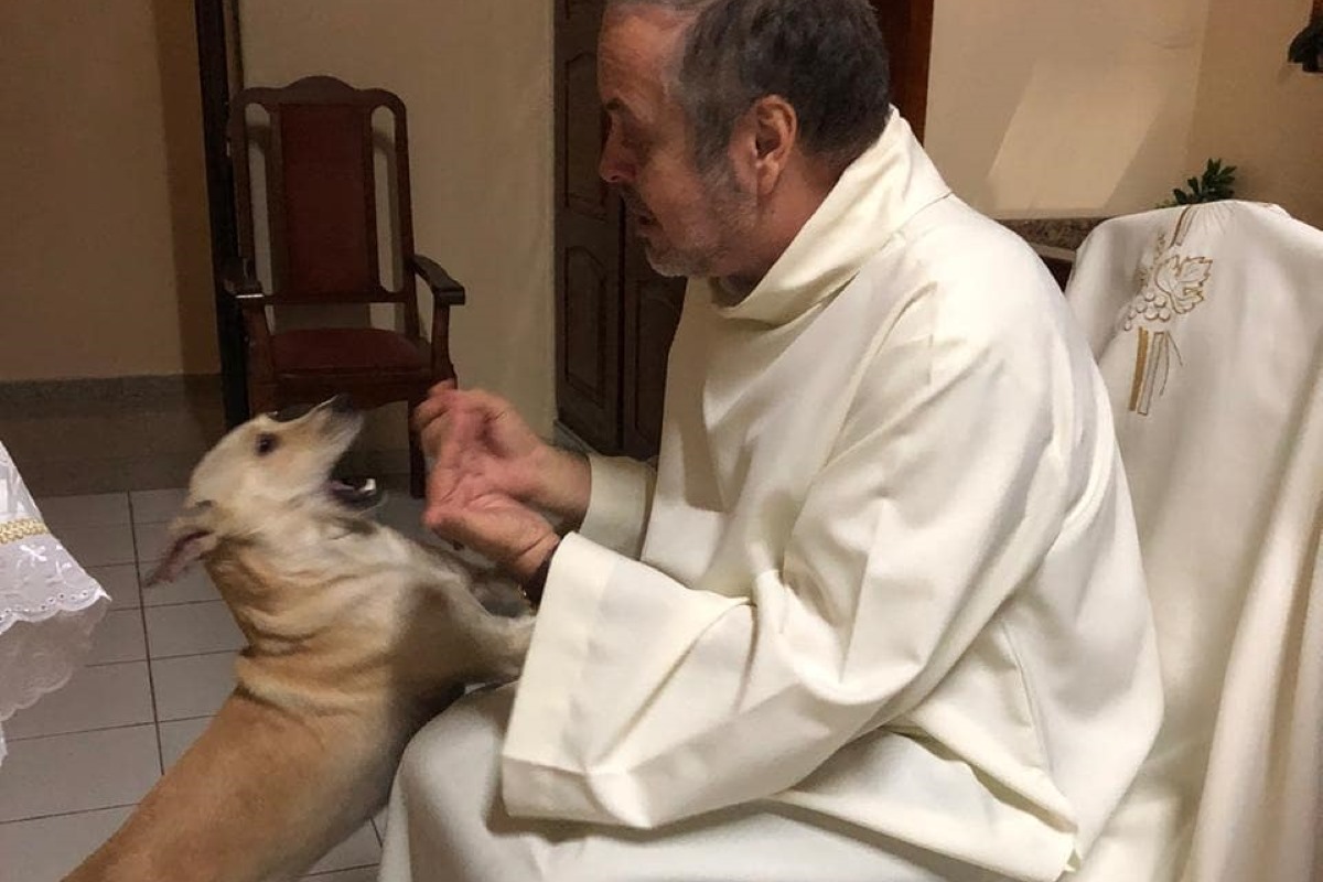Il parroco che trasforma la chiesa in rifugio: “I cani randagi sono i miei fedeli più fedeli”