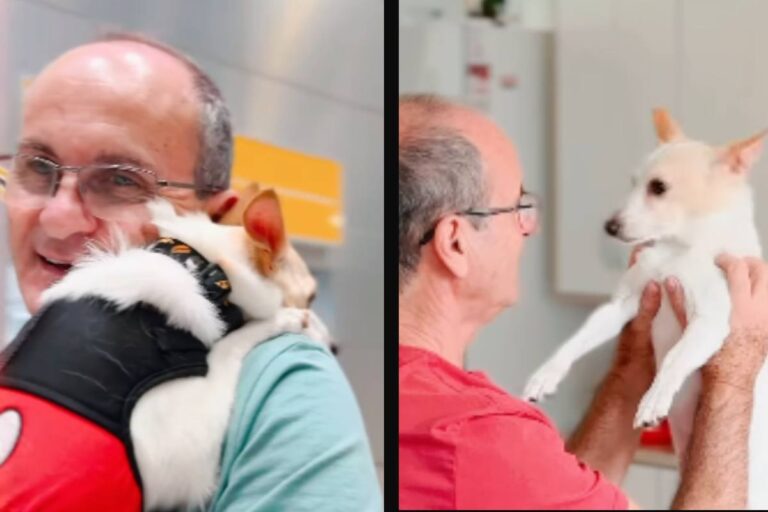 Un uomo brasiliano da sempre contrario agli animali in casa si innamora del cane adottato dalla figlia: il video su Instagram commuove il web.