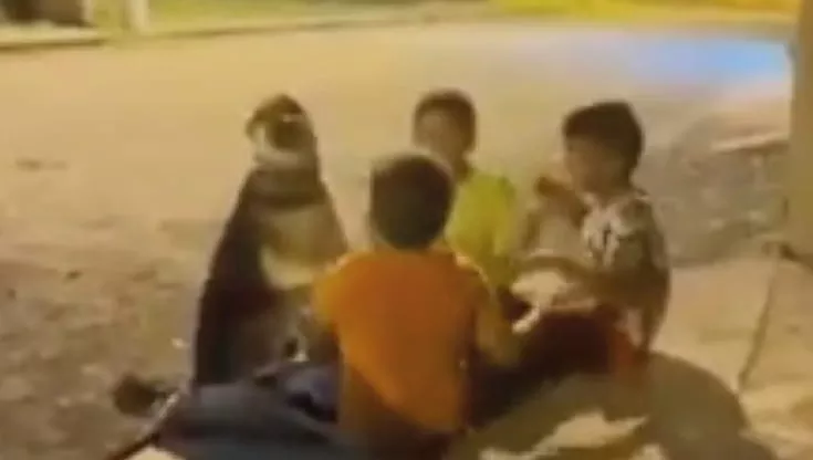 Non ha un tetto ma ha trovato affetto: il randagio che ha conquistato un cerchio di bimbi