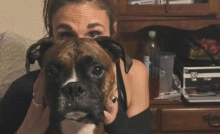 Ha sacrificato la propria vita per salvare un cane. Alicia Leonardi, 42 anni, è stata investita da un treno mentre cercava di mettere in salvo Jackson.