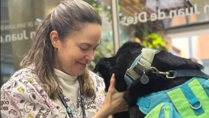 Scartato per il colore del pelo, oggi Simba dona conforto ai pazienti più fragili: il cane che insegna l’amore oltre ogni apparenza.