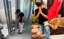 Il piccolo Franky prega inginocchiato in un rifugio per cani: il suo messaggio d’amore per gli animali conquista i social.