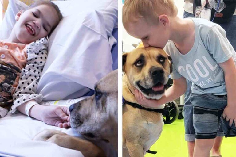Dalla tragedia al miracolo: Chance porta speranza e conforto ai bambini con disabilità, trasformando il dolore in missione.