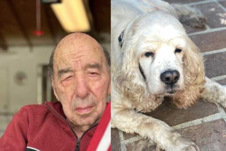 Il dolore per la perdita del suo cane era insopportabile. Così la nipote ha chiesto aiuto al vicinato e ha regalato al nonno l’addio più dolce.