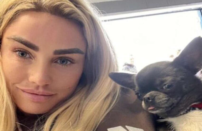 La modella britannica ha suscitato indignazione dopo aver rinunciato al suo chihuahua. Il motivo? Non era più utile per i social