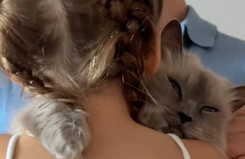 Una bambina piange, il gatto di casa corre da lei e la consola con un abbraccio: la clip su TikTok commuove il mondo.