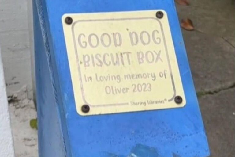 Una scatola di biscotti in sua memoria continua a rendere felici i cani di passaggio e a far piangere di commozione i loro padroni.