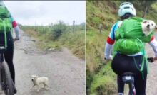 Durante un'escursione in montagna, una ciclista trova una cucciola randagia. Quel gesto cambierà per sempre le vite di entrambe.