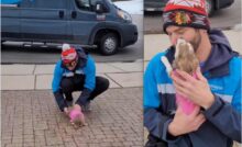 Una cagnolina di tre anni accoglie ogni giorno il suo corriere preferito con entusiasmo: lui la ringrazia con un regalo speciale.