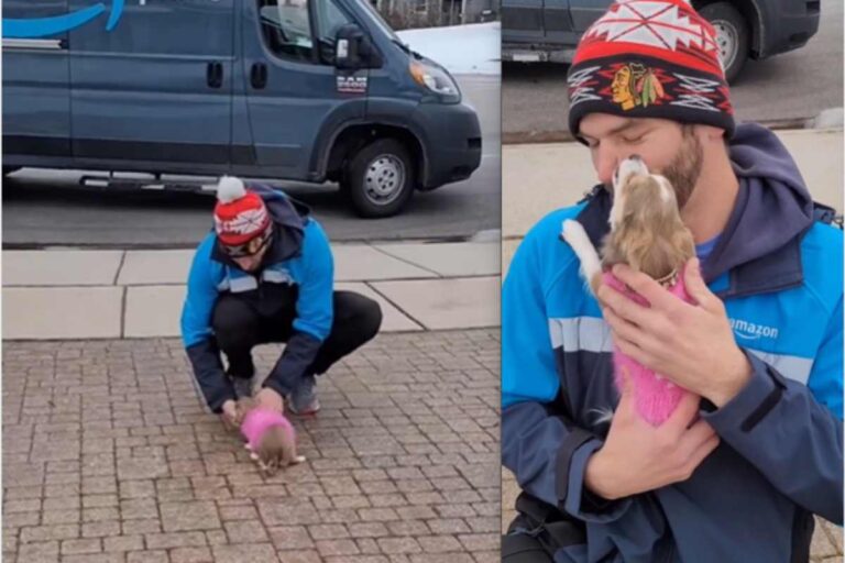 Una cagnolina di tre anni accoglie ogni giorno il suo corriere preferito con entusiasmo: lui la ringrazia con un regalo speciale.