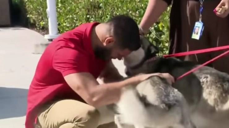 Sandy aveva perso ogni speranza di rivedere i suoi due cani. Ma grazie a un volantino e alla solidarietà, la storia si è conclusa nel modo più bello.